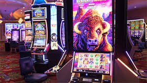 122 bet vip